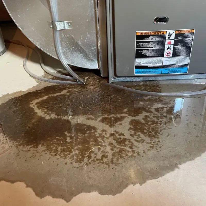 Pipe Burst and Leak Restoration in Marshall County, KY