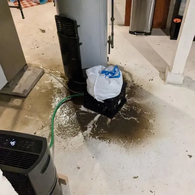 Sewage Backup Cleanup Service in Marshall County, KY